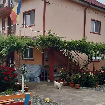 Homestay Casa Geta 2 Mai